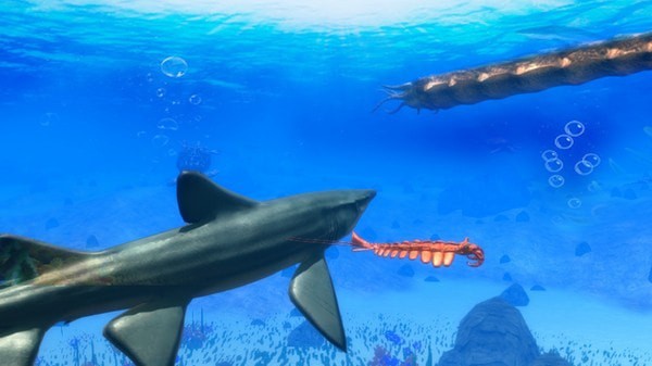 海底大猎鲨