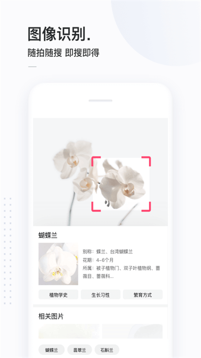 简单搜索app下载安装