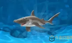 饥饿鲨进化兔子幼鲨 饥饿鲨进化绝版宠物