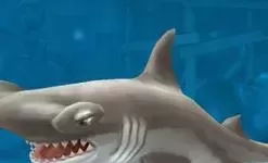 饥饿鲨进化锤头鲨 饥饿鲨进化国际版