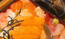 烹饪冒险青花鱼寿司