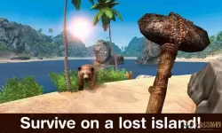 迷失岛屿上的 岛屿之谜