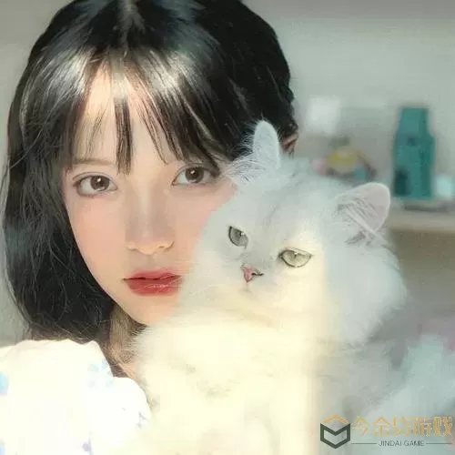 少女与猫的头像 可爱少女与憨态可掬的猫