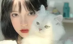 少女与猫的头像 可爱少女与憨态可掬的猫