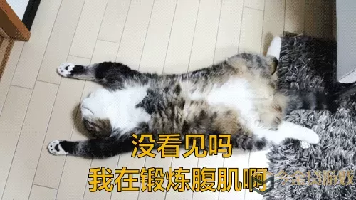 猫之宿约者腹肌 猫之宿约者腹肌