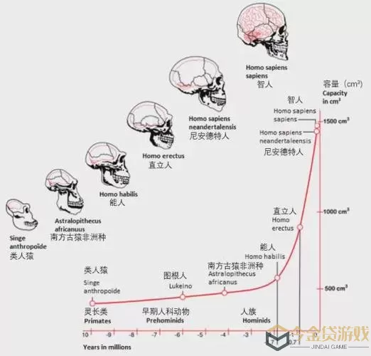 《最强蜗牛》爱因斯坦脑片特性介绍