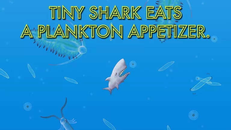 美味海洋鲨鱼版最新版app