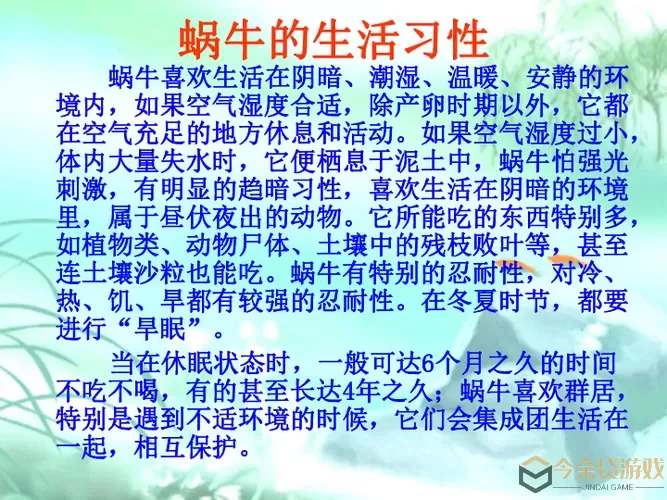 《最强蜗牛》中国有什么特点