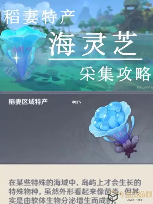 濡沫江湖百年灵芝在哪里采集