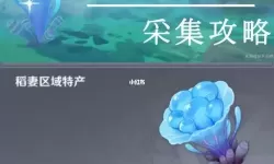 濡沫江湖百年灵芝在哪里采集