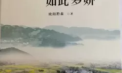 朕的江山如此多娇是什么意思