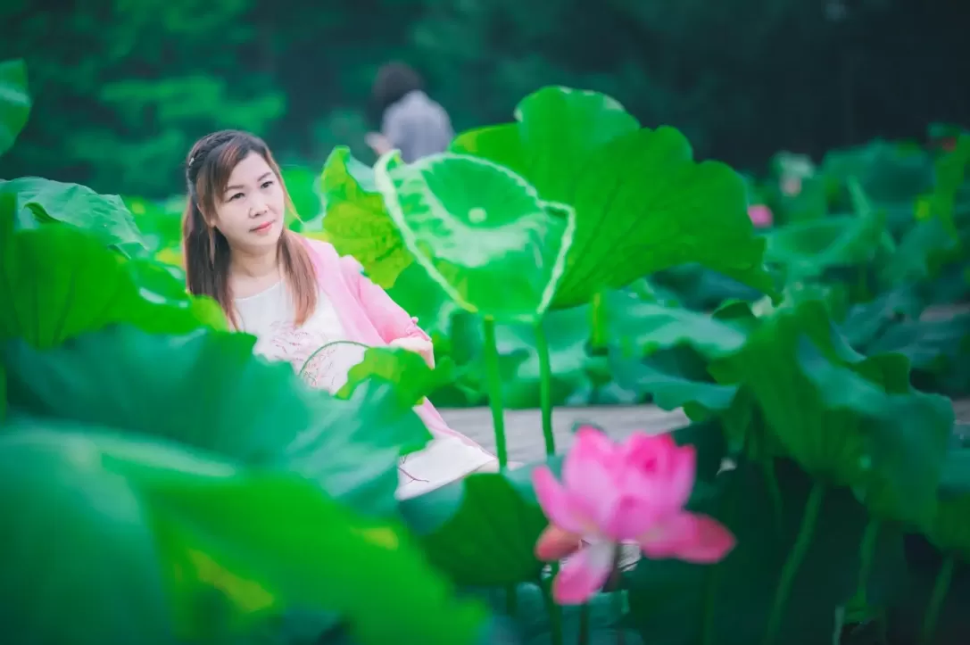 女人半夜莲花开的神话与现实：一场心灵的旅程