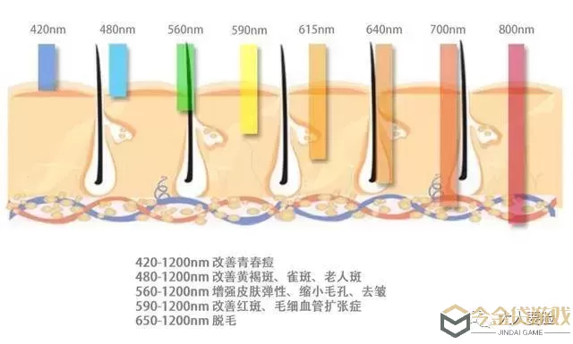 王者之心光子嫩肤价格