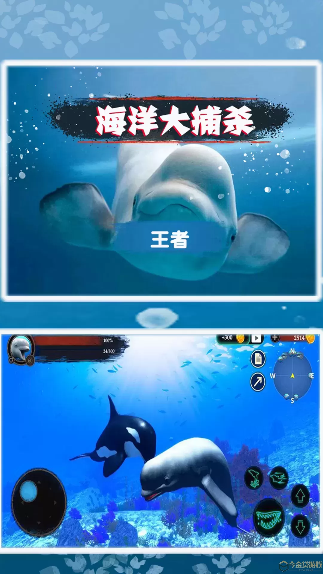 海洋大捕杀最新版app