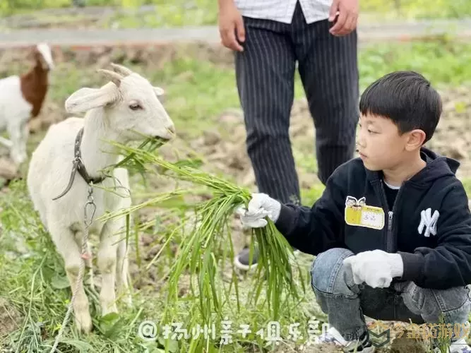 割草的100种方式小羊孵化器在哪升级