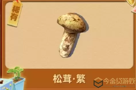 夺笋高手隐藏山货