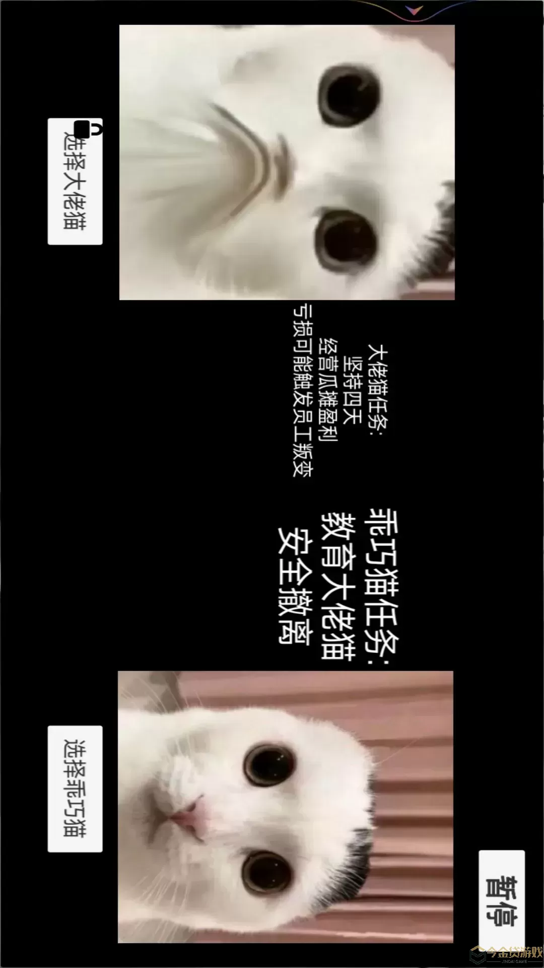 猫猫惊魂夜官方正版