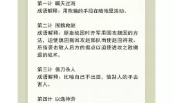 三十六计迷惑敌人的计叫什么