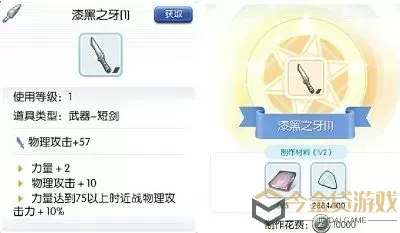 ro手游刺客饰品