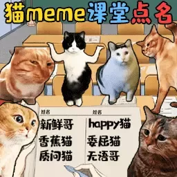 猫meme热梗手游官网版