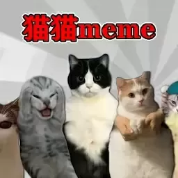 恐怖猫猫惊魂手机版