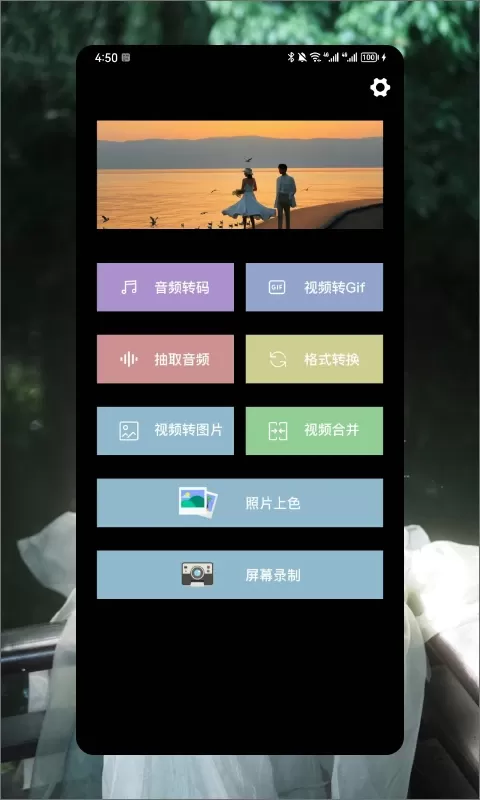 青青草官网版app