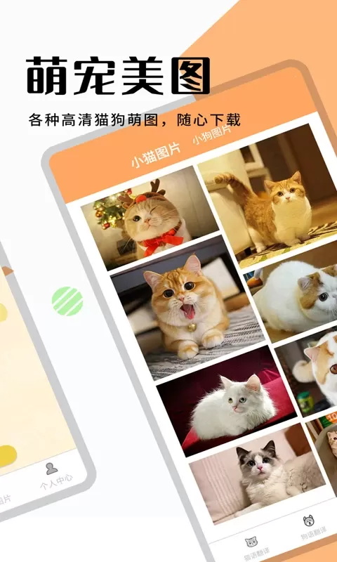 猫狗翻译器软件下载最新版