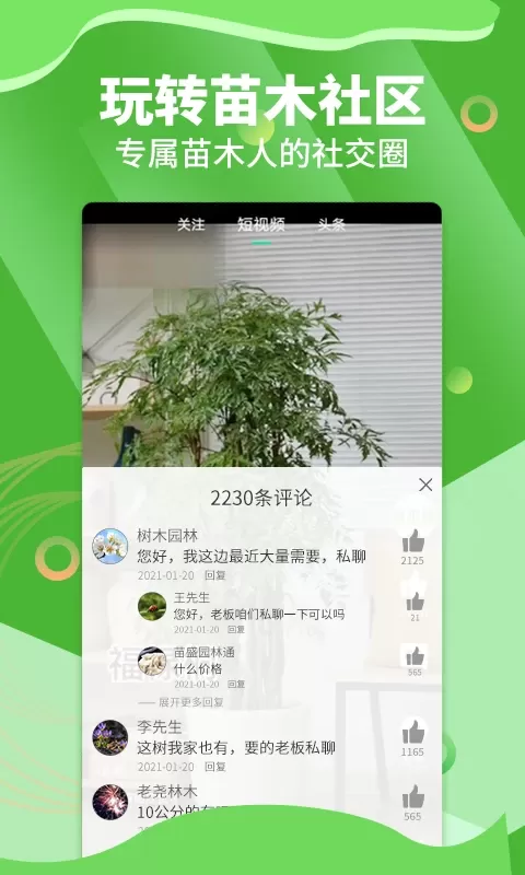 苗木通免费版下载