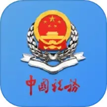 新疆税务官网版app